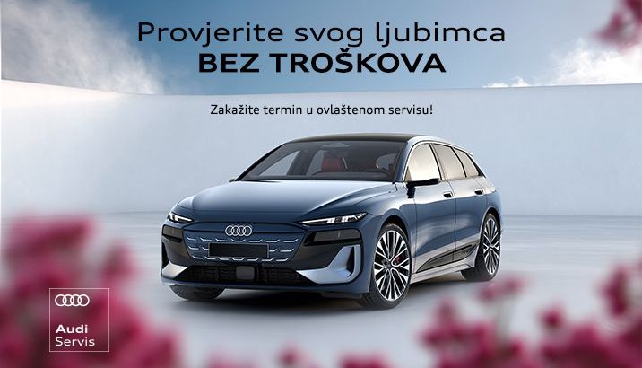 Audi proljetni pregled